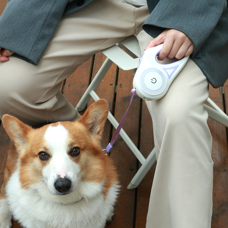 Retractable Dog Leash โ Freedom of Movement, Total Control